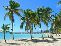 La plage de Sainte-Anne.