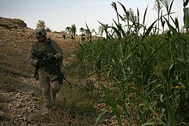 Soldats américains à Rawa en octobre 2008.