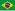 Vlag van Brazili�