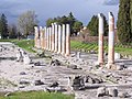 Foro romano