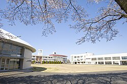 宇都宮短期大学