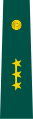 Insignia de capit�n del Ej�rcito