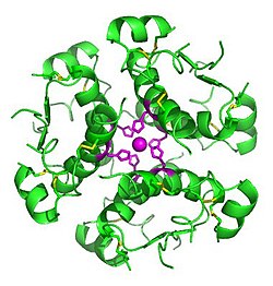 InsulinHexamer.jpg