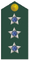 Insignia de capit�n del Ej�rcito.