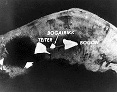 Подводная воронка диаметром 1,5 км на месте острова Элугелаб[англ.] (атолл Эниветок) после наземного взрыва Иви Майк, 10,4 Мт