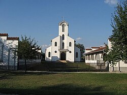 The Roman Catholic Church