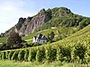 Die Weinberge bei Rh�ndorf