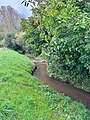 Unterlauf kurz vor der Mündung in die Werse.