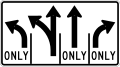 R3-H8dp Lane Use Control Sign (L-LT-T-R)