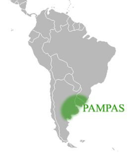 Extensão dos pampas na América do Sul.