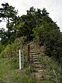 南側にある奥駈道との分岐点。「この上青根ヶ峰」の碑がある