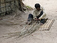 Indien piaroa assis au sol et tressant un panier