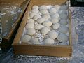 Massinhas de arroz moldadas: mochi