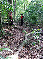 Tradiciones y pr�cticas vinculadas a los kayas en los bosques sagrados de los mijikendas, Kenia Kenia.