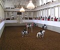 La equitaci�n cl�sica y la Escuela Espa�ola de Equitaci�n de Viena - Austria Austria.