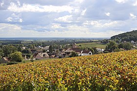 Gevrey-Chambertin