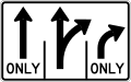 R3-H8cm Lane Use Control Sign (T-TR-R)