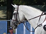 MJT Nevados S, cheval de sport polonais, au Paris Eiffel Jumping 2018.