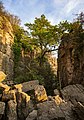 Une gorge dans le Hessigheimer Felsengärten (de), Bade-Wurtemberg. Octobre 2018.