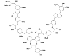 Typische structuur van lignine