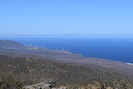 Vegetación xerófita costera en el sector norte del Cordón de Talinay, al fondo el Océano Pacífico.