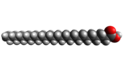 Struttura 3D van der Waals dell'acido carbocerico.