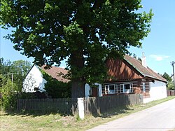 Roubenka