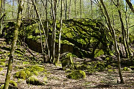 Bloc de la taille d'un camion recouvert de mousse en forêt