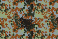 Flecktarn belge