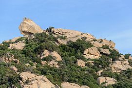 Le Lion de Roccapina, couronné d'une tour génoise en ruines.