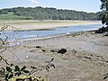 Anciennes tables ostréicoles dans l'Aber Benoît vues à marée basse depuis le GR 34 aux environs de Trouzilit en Tréglonou ; à l'arrière-plan, la rive droite côté Lannilis.