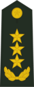 陆军上将