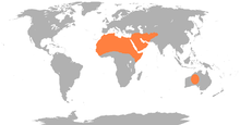 Global range of the dromedary