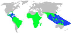 Distribución geográfica