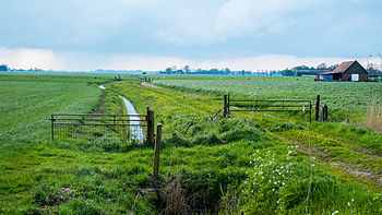 Deel van het trac� van de vroegere dijk vanaf de Friesestraatweg in de richting van Okswerd