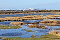 La réserve ornithologique de Gros Blanc.