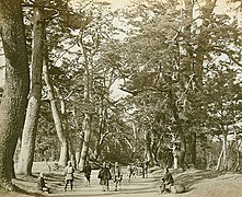 Vue de la Tōkaidō, photo de Felice Beato, 1865.