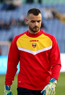 Milan Mijatovic.jpg