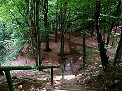 Treppen im Haldengebiet der ehemaligen Steinbrüche