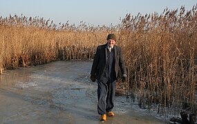 Oude man met klompen op het ijs tussen het riet in Noordeinde