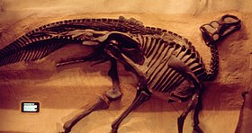 Esqueleto de Gryposaurus no Museu Real de Ontário