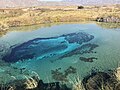 La ciénega de Poza Azul, à Cuatro Ciénegas, Mexique (2017) ;