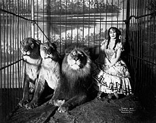 Dompteuse de lions en 1899.