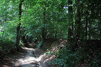 Le GR VA dans le Pottelbergbos (nl)