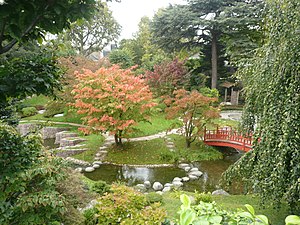 Jardin japonais contemporain.