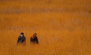 Due donne in un campo