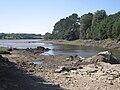 L'Aber Wrac'h à marée basse vu du Pont du diable (Pont Krac'h), vue vers l'aval.