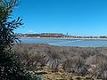 Le saline di Molentargius