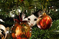 22 d�cembre 2014 Une dr�le de bouille dans le sapin de No�l.