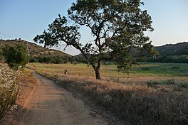 A scene in Valley Center